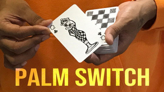 Magic Encarta Presents Palm Switch & Palm Control by Vivek Singhi - DOWNLOAD