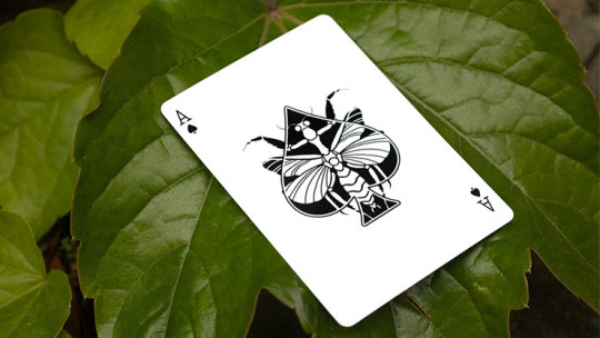 Mantis (Marked) - Pokerdeck - Markiertes Kartenspiel