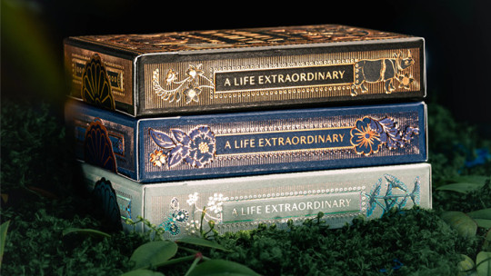 Preview: Mooi Collector's Edition BOXSET by theory11