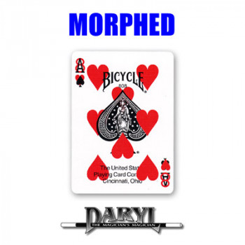 Morphed Bicycle by Daryl