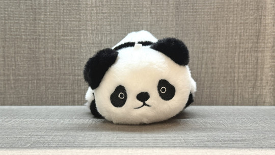 Morphing Plush (Panda to Penguin Blue) by Jackie Zhao and JT Magic