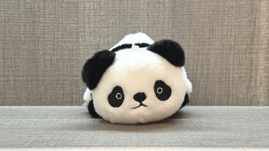 Preview: Morphing Plush (Panda to Penguin Grey) by Jackie Zhao and JT Magic