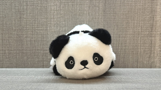 Preview: Morphing Plush (Panda to Raccoon) by Jackie Zhao and JT Magic