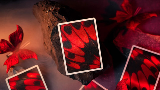 Preview: Morpho V2 (Carmine) by TCC Fashion - Pokerdeck
