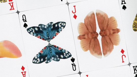 Preview: MOTHS (Stripe Edition) by Matthew Palladino