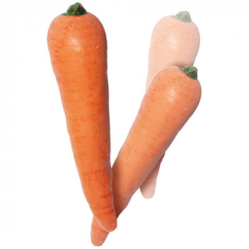 Multiplying Carrots - 1er Set  - Latex Karotten - Zaubertrick