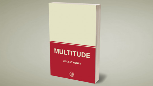 Multitude by Vincent Hedan - Buch