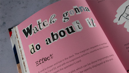 Never Mind the Bollocks by Etienne Pradier - Buch