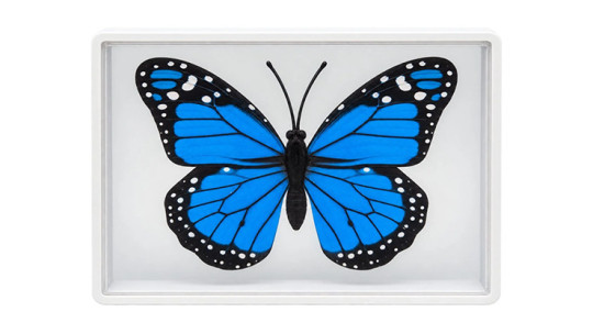 Preview: Omni Butterfly by Hyde Ren & Bacon Magic