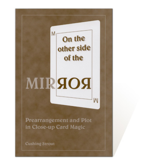 On the Other Side of the Mirror by Cushing Strout - Buch