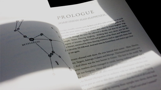 Preview: ORION Bronze by Phedon Bilek - Buch