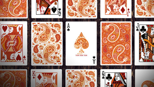 Paisley Ton sur Ton Poudre Orange Foil Designer's Choice