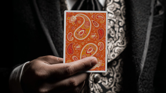 Paisley Ton sur Ton Poudre Orange Foil Designer's Choice