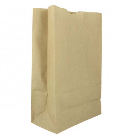 Papiertüten - Braun - Paper Bags - 10 Stück - 18x11x34 cm, 60g/m² - ERSATZ für Refilled und Cube in Bottle
