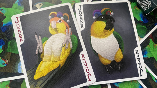 Parrot Prototype - Pokerdeck