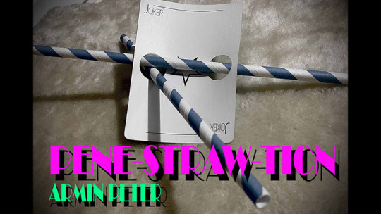 Pene-STRAW-tion by Armin Peter - Video - DOWNLOAD