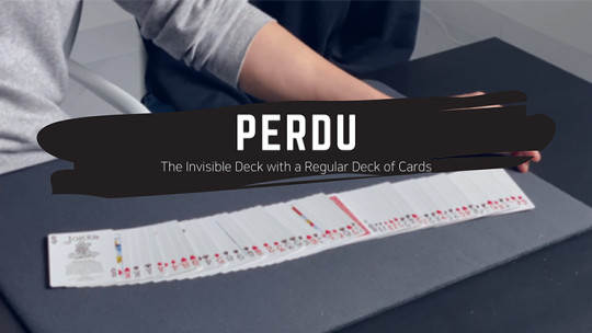 Perdu by Ju - Video - DOWNLOAD