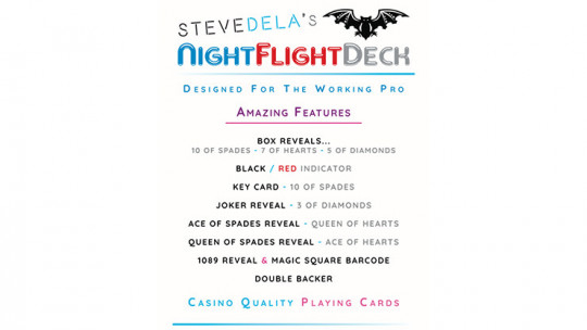 Pro Edition Night Flight by Steve Dela - Pokerdeck - Markiertes Kartenspiel