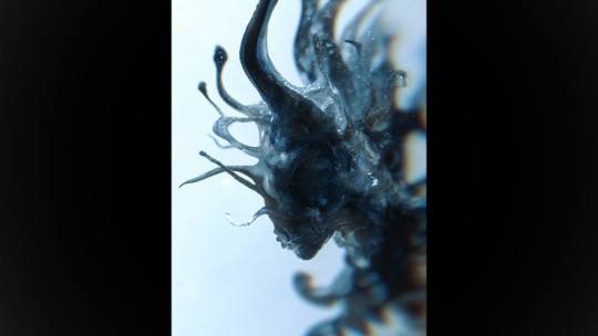 Progeny by Fraser Parker - Buch