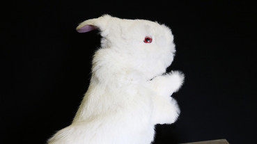 Handpuppe Hase - Rabbit Hand Puppet by Magic Masters