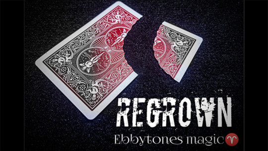 Regrown by Ebbytones - Video - DOWNLOAD