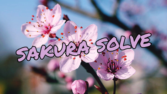 SAKURA SOLVE by Cyril Hubert and JJ Team - Video - DOWNLOAD