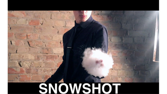 SnowShot (10 ct.) by Victor Voitko