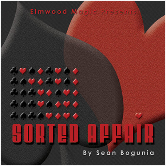 Sorted Affair (2013) by Sean Bogunia