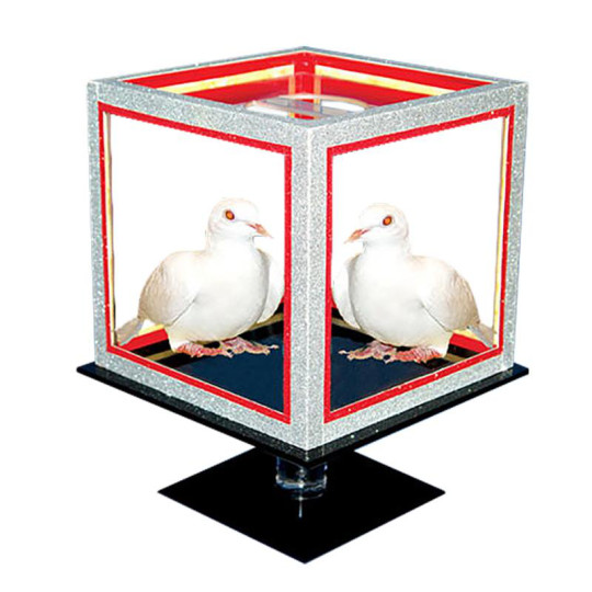 Preview: Special Disappearing Dice by Tora Magic