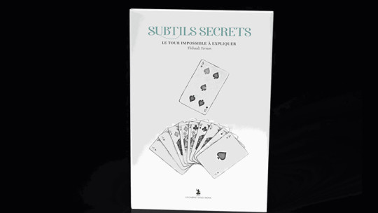Subtle Secrets 2 by Thibault Ternon - Buch
