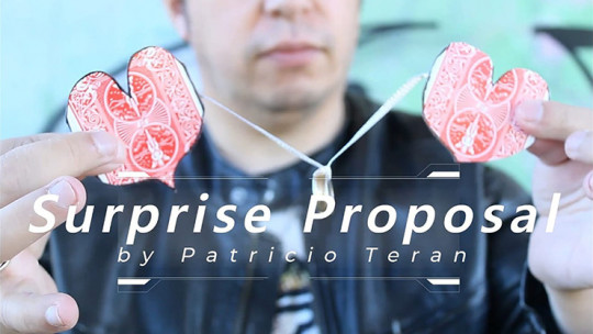 Surprise Proposal by Patricio Teran - Video - DOWNLOAD