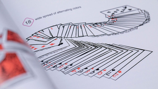 Symmetry, Parity and the Chimera Deck (plus three gimmicked decks and Prop) by Ben Harris - Buch