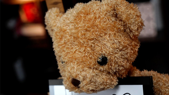 Teddy Unframed by Bond Lee & JC Magic