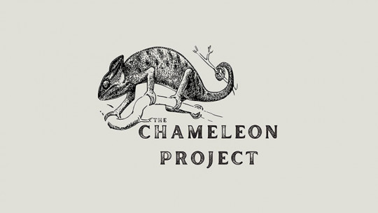 The Chameleon Project by Michael Shaw - Video - DOWNLOAD