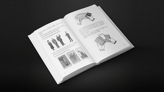 The Devil's Tarot by Vincent Hedan (Marseille) - Buch