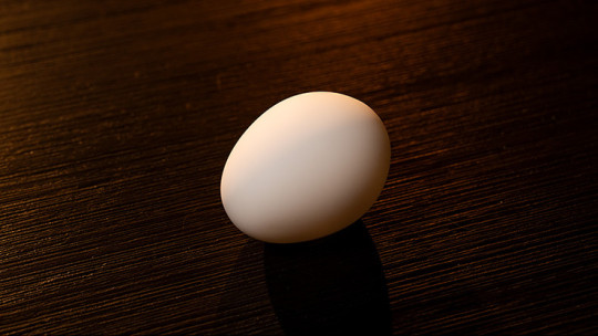Preview: The Egg by Murphy's Magic