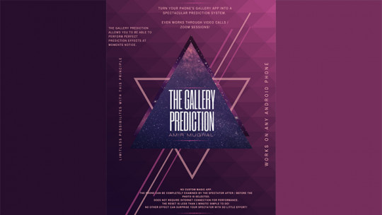 The Gallery Prediction by Amir Mugha - Video - DOWNLOAD