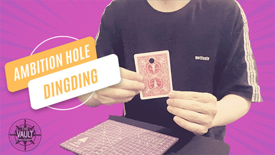 The Vault - Ambition Hole by Dingding - Video - DOWNLOAD
