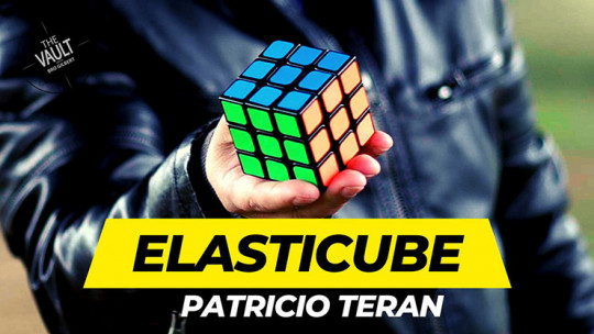 The Vault - Elasticube by Patricio Teran - Video - DOWNLOAD