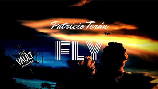 The Vault - Fly by Patricio Teran - Video - DOWNLOAD