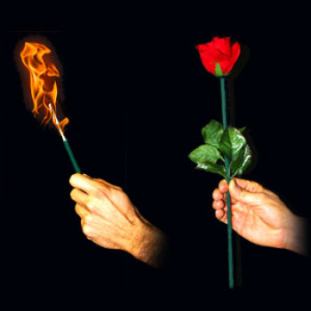 Torch to Rose - Professional - Zaubertrick