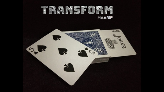 Transform by Maarif - Video - DOWNLOAD