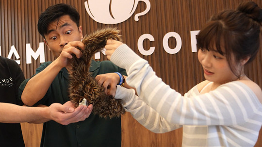 Preview: Tricky Raccoon by Liang Kuai & Amor Magic