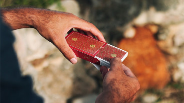 Visa Playing Cards (Rot) by Patrick Kun and Alex Pandrea