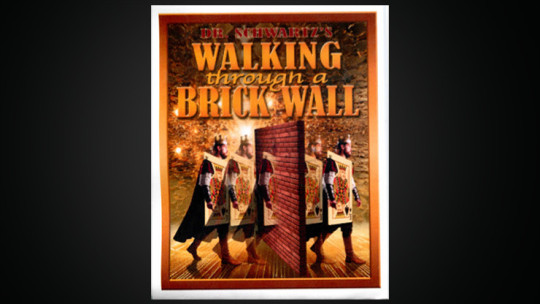 Walking Thru a Brick Wall by Martin Schwartz