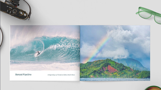 Preview: Zandman's Hawaii