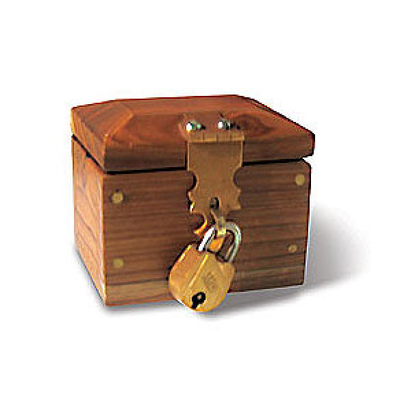 Lock Box Mini Deluxe - Zaubertrick