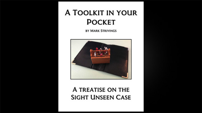 A Toolkit in Your Pocket by Mark Strivings - Buch
