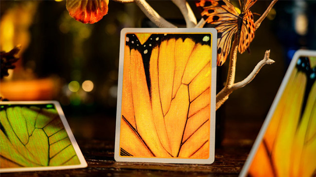 Amber Golden Morpho by TCC Fashion - Pokerdeck