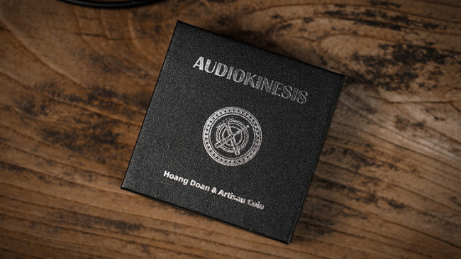 Audiokinesis by Hoang Doan Minh & Artisan Coin (Dollar)